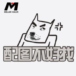 不銹鋼 卡套式管接頭用螺母 GB 3759